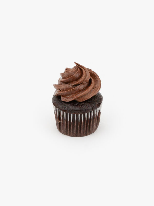 A Single Mini Chocolate Dessert Cupcake in wrapping on a light grey background