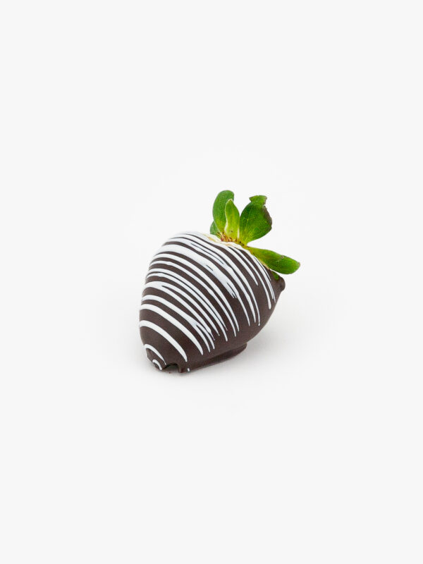 A Single Dark Chocolate Dipped Strawberry Dessert Pastry on a light grey background